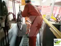 Araştırma gemisi satılık