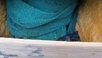 Trol gemisi satılık