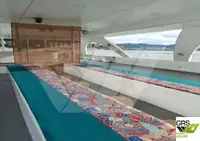 Yolcu gemisi satılık