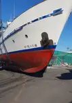 Kruvaziyer gemisi satılık