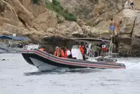 Sert şişme bot satılık
