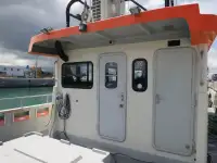 Katamaran satılık