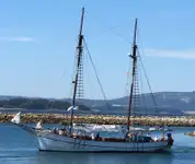 Feribot satılık