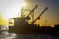 İş gemileri satılık
