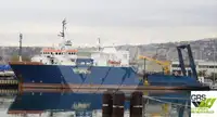 Dalış desteği satılık