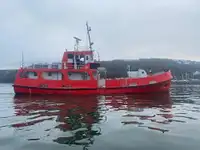 Anket gemisi satılık