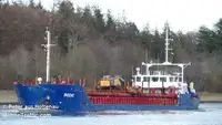 Yığın taşıyıcı satılık