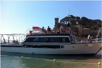Feribot satılık