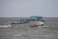 Yolcu gemisi satılık