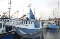 Canlı balık taşıyıcı satılık