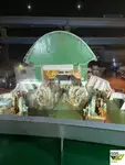 Ro-Ro gemisi satılık