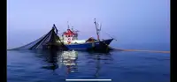 Trawler satılık