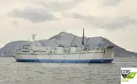 Ro-Ro gemisi satılık