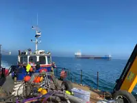 Çok amaçlı satılık