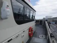 Katamaran satılık
