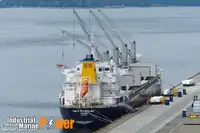 Yığın taşıyıcı satılık