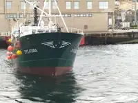 Trol gemisi satılık