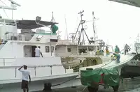 Longliner satılık