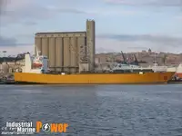 Ro-Ro gemisi satılık