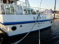 Kruvaziyer gemisi satılık