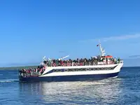 Yolcu gemisi satılık