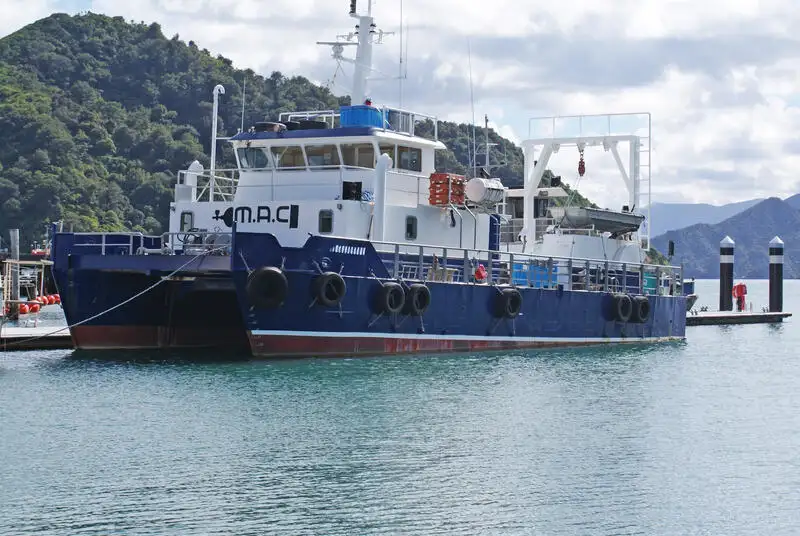 Kruvaziyer gemisi satılık