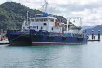 Kruvaziyer gemisi satılık