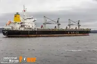 Yığın taşıyıcı satılık