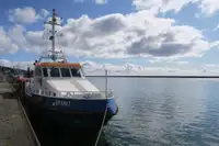 Devriye botu satılık