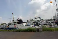 Devriye botu satılık