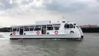 Katamaran satılık