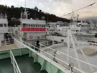 Trol gemisi satılık