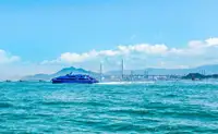 Yolcu gemisi satılık