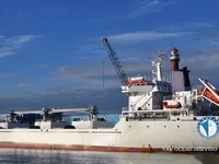 Soğutmalı gemi satılık