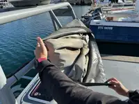 Devriye botu satılık