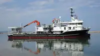 Çift ağlı trol satılık
