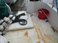 Trol gemisi satılık
