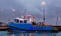 römorkör satılık