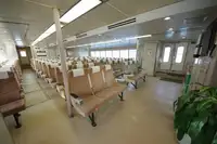 Yolcu gemisi satılık