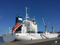 soğutuculu gemi satılık