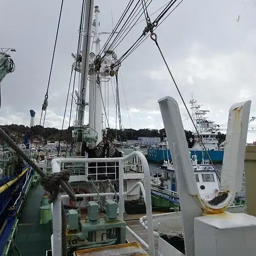 seiner satılık