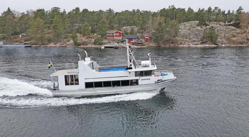 Motorlu tekne satılık