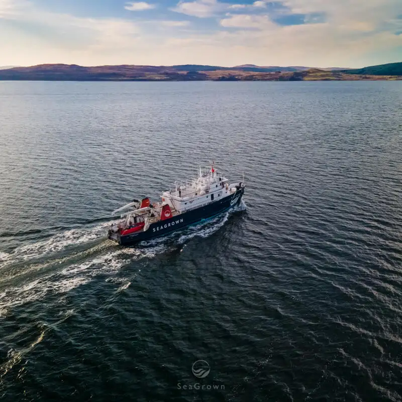 Anket gemisi satılık