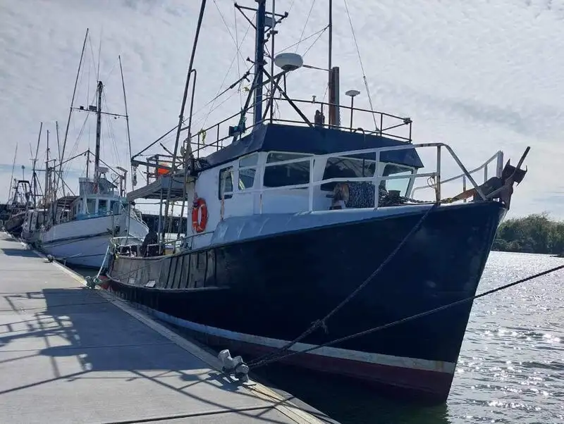 parakete gemisi satılık