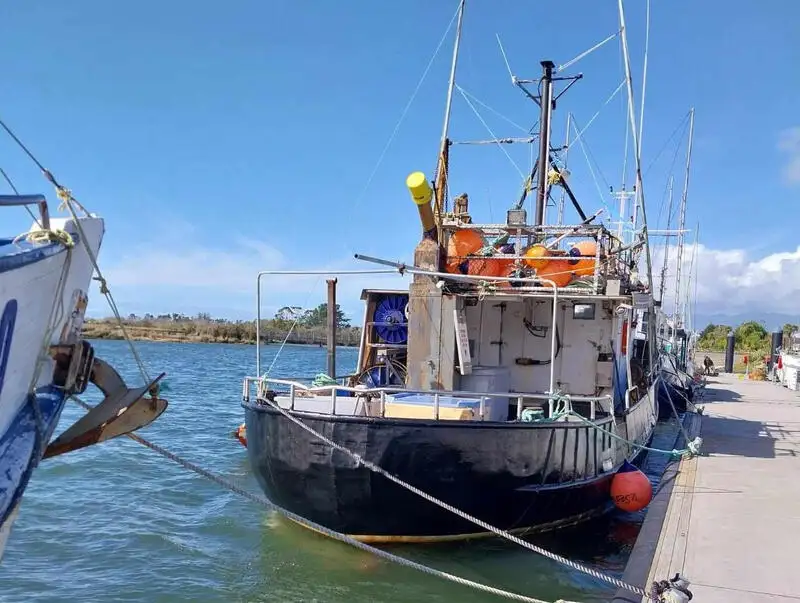 parakete gemisi satılık