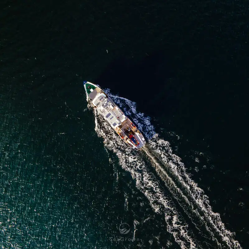 Anket gemisi satılık