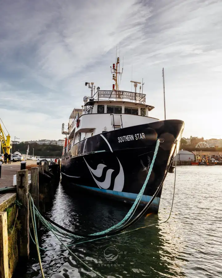 Anket gemisi satılık