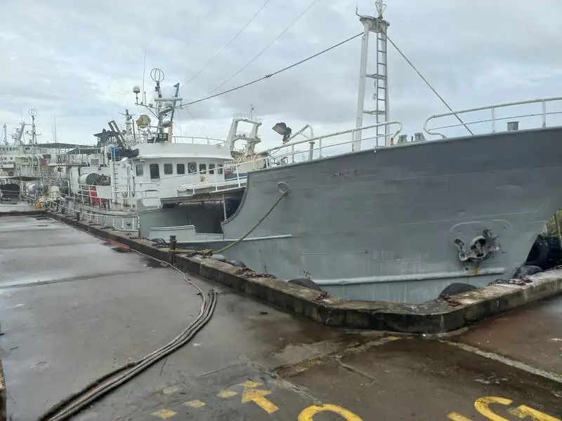 parakete gemisi satılık