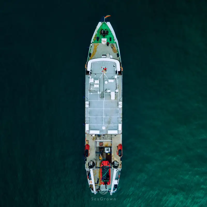 Anket gemisi satılık