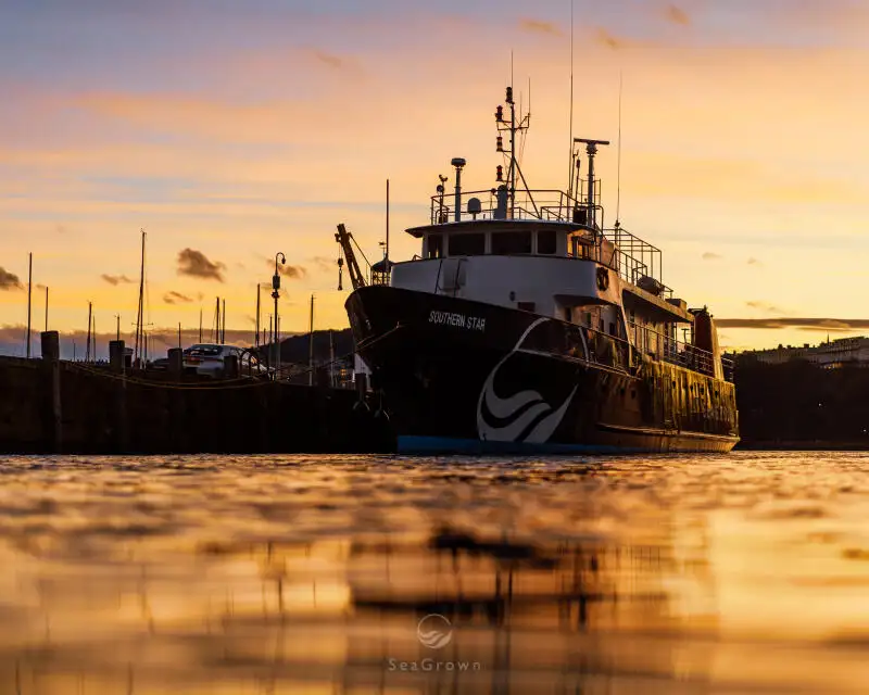 Anket gemisi satılık